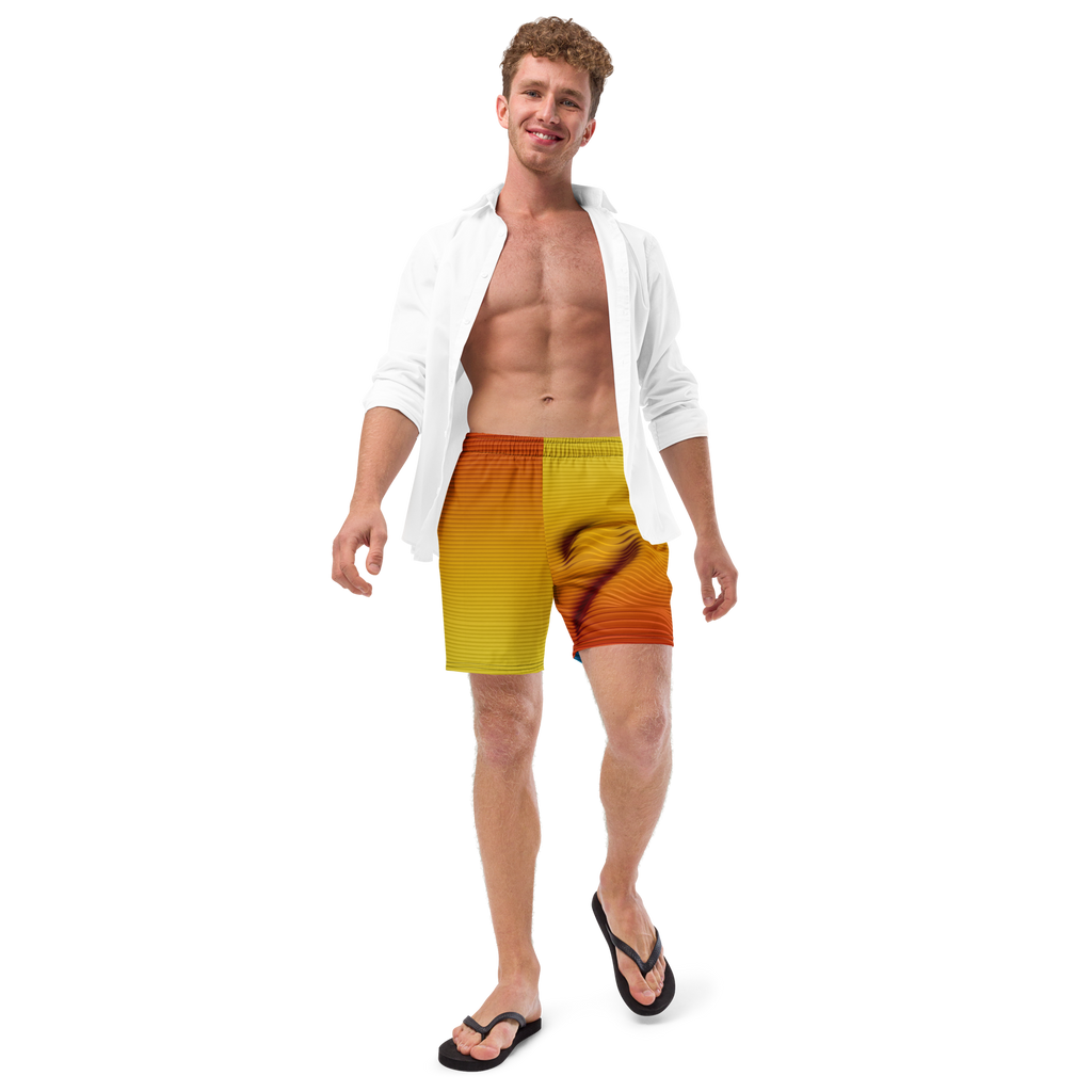 TWO SWIM TRUNKS image 6