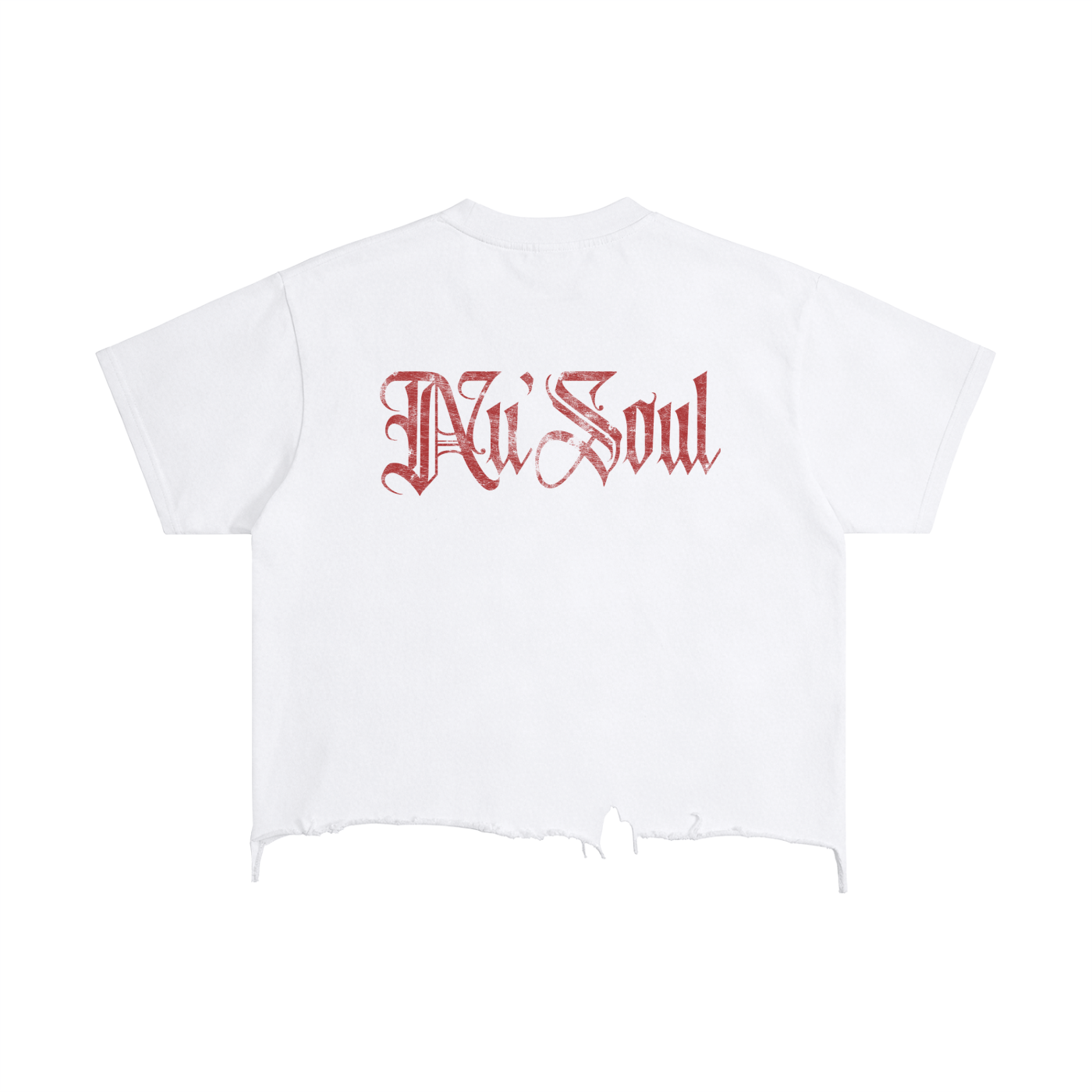 NuSoul Vintage T
