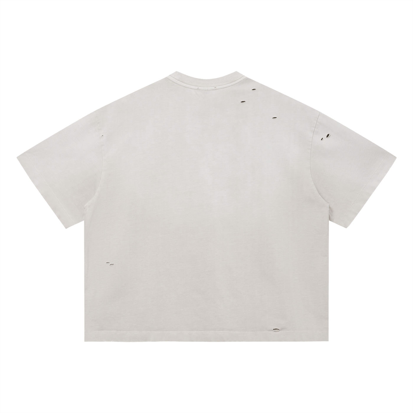 Vintage Washed Distressed Static Tee