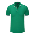The Transit Polo GRN image 0