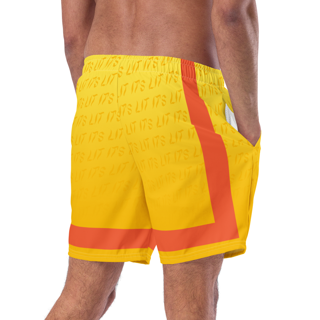 LIT SWIM TRUNKS image 9