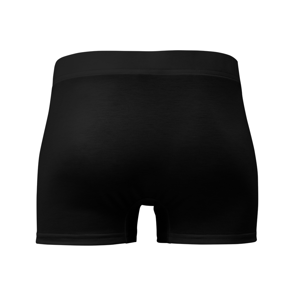 TWO SIMPLE Boxer Briefs image 5